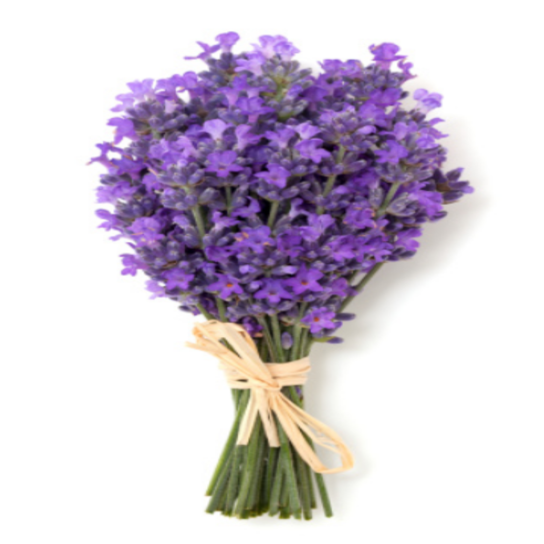 ORGANIC DEODORANT- LAVENDER FRAGRANCE - FOR WOMEN